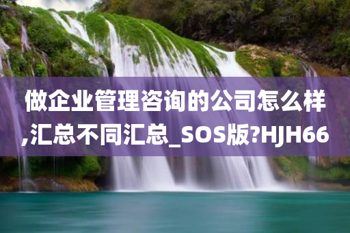 做企业管理咨询的公司怎么样,汇总不同汇总_SOS版?HJH66