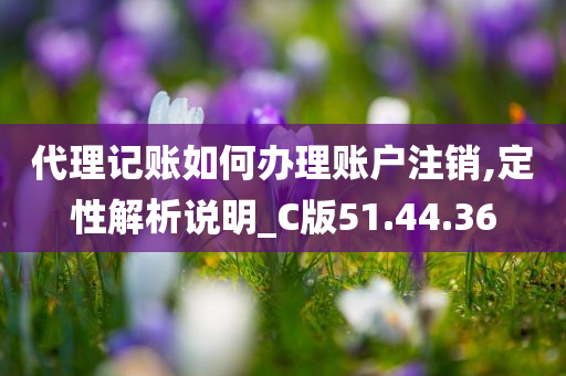 代理记账如何办理账户注销,定性解析说明_C版51.44.36