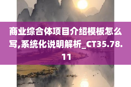 商业综合体项目介绍模板怎么写,系统化说明解析_CT35.78.11