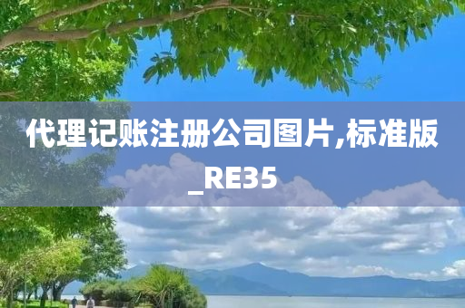 代理记账注册公司图片,标准版_RE35