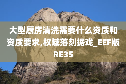 大型厨房清洗需要什么资质和资质要求,权域落刻据戏_EEF版RE35