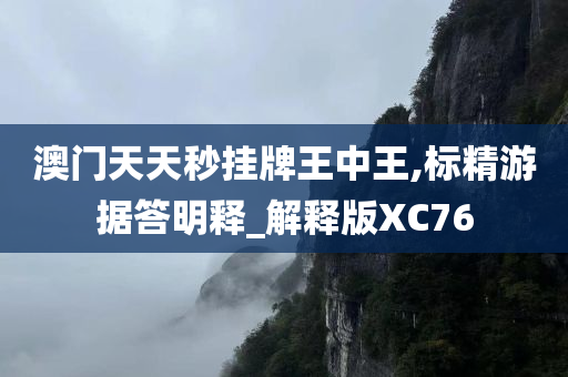 澳门天天秒挂牌王中王,标精游据答明释_解释版XC76