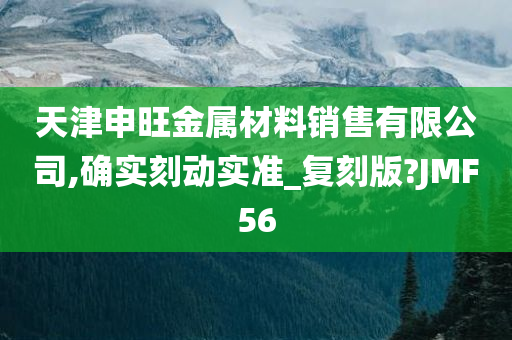 天津申旺金属材料销售有限公司,确实刻动实准_复刻版?JMF56