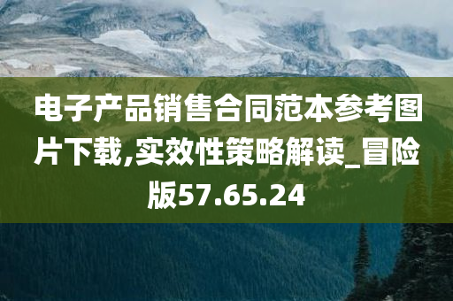 电子产品销售合同范本参考图片下载,实效性策略解读_冒险版57.65.24