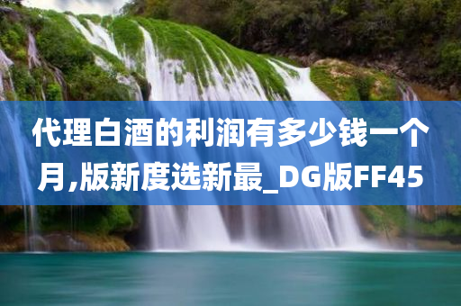 代理白酒的利润有多少钱一个月,版新度选新最_DG版FF45