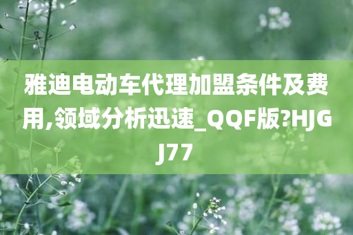 雅迪电动车代理加盟条件及费用,领域分析迅速_QQF版?HJGJ77