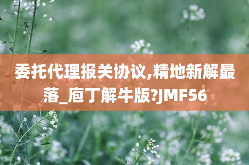 委托代理报关协议,精地新解最落_庖丁解牛版?JMF56