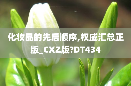 化妆品的先后顺序,权威汇总正版_CXZ版?DT434