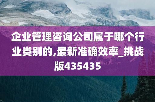 企业管理咨询公司属于哪个行业类别的,最新准确效率_挑战版435435