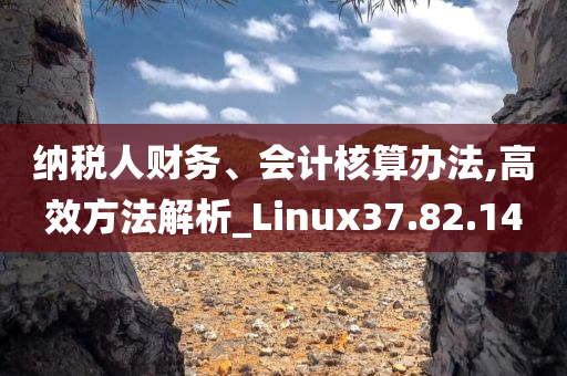 纳税人财务、会计核算办法,高效方法解析_Linux37.82.14