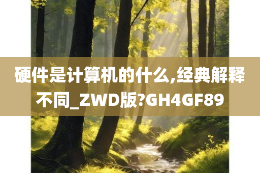 硬件是计算机的什么,经典解释不同_ZWD版?GH4GF89