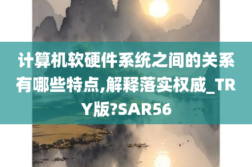 计算机软硬件系统之间的关系有哪些特点,解释落实权威_TRY版?SAR56