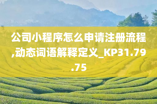 公司小程序怎么申请注册流程,动态词语解释定义_KP31.79.75