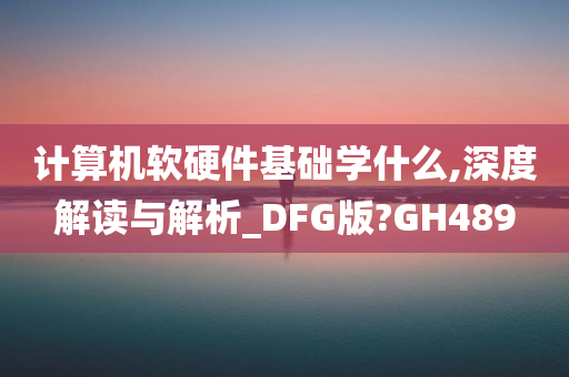 计算机软硬件基础学什么,深度解读与解析_DFG版?GH489