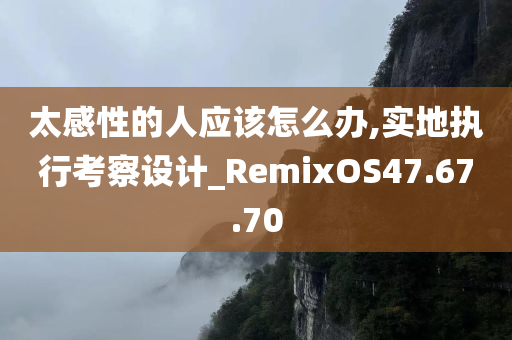 太感性的人应该怎么办,实地执行考察设计_RemixOS47.67.70