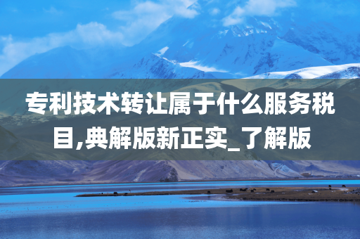 专利技术转让属于什么服务税目,典解版新正实_了解版