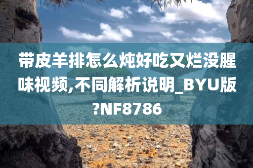 带皮羊排怎么炖好吃又烂没腥味视频,不同解析说明_BYU版?NF8786