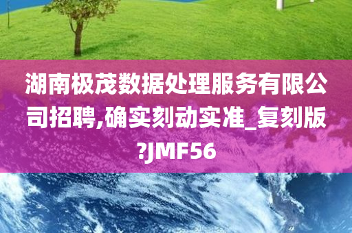 湖南极茂数据处理服务有限公司招聘,确实刻动实准_复刻版?JMF56