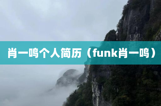 肖一鸣个人简历（funk肖一鸣）