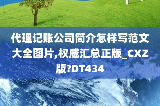 代理记账公司简介怎样写范文大全图片,权威汇总正版_CXZ版?DT434