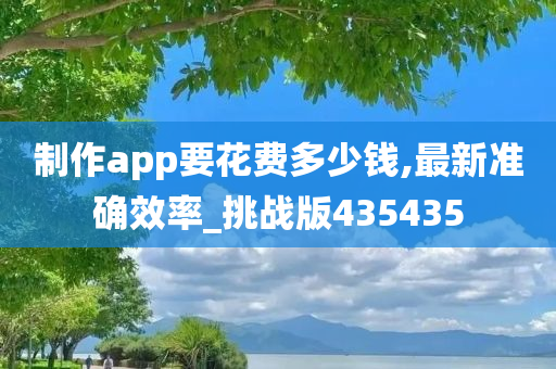 制作app要花费多少钱,最新准确效率_挑战版435435