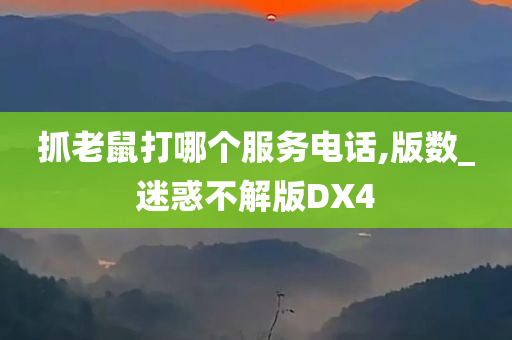 抓老鼠打哪个服务电话,版数_迷惑不解版DX4