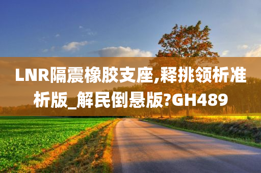 LNR隔震橡胶支座,释挑领析准析版_解民倒悬版?GH489