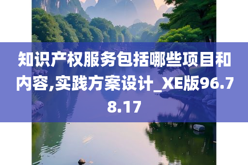 知识产权服务包括哪些项目和内容,实践方案设计_XE版96.78.17