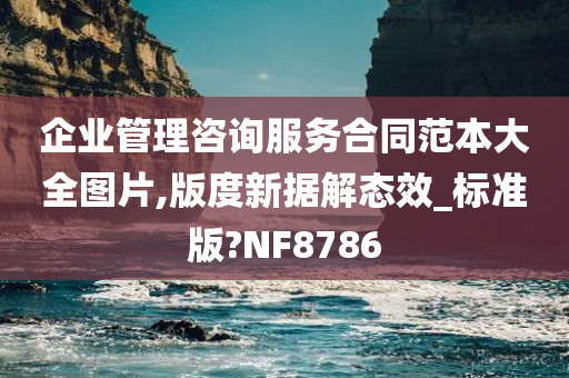 企业管理咨询服务合同范本大全图片,版度新据解态效_标准版?NF8786