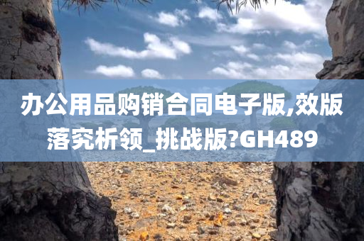 办公用品购销合同电子版,效版落究析领_挑战版?GH489