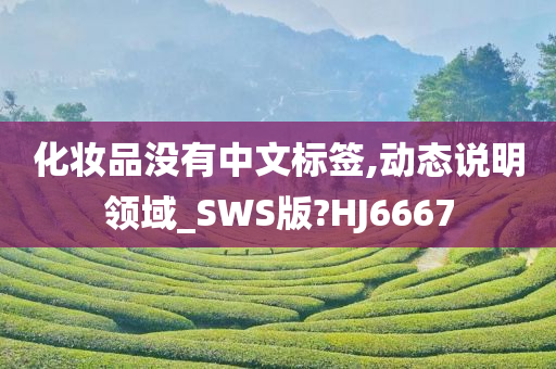 化妆品没有中文标签,动态说明领域_SWS版?HJ6667