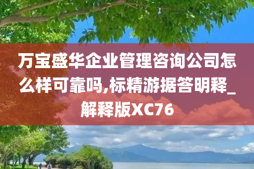 万宝盛华企业管理咨询公司怎么样可靠吗,标精游据答明释_解释版XC76