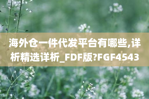 海外仓一件代发平台有哪些,详析精选详析_FDF版?FGF4543