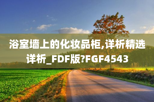 浴室墙上的化妆品柜,详析精选详析_FDF版?FGF4543