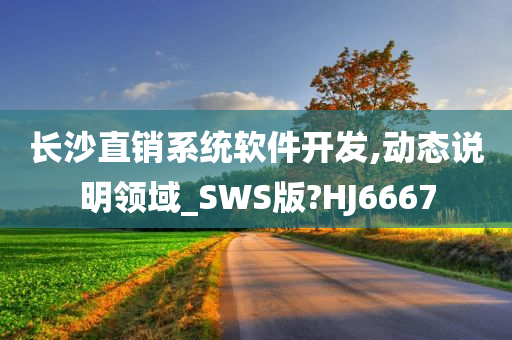 长沙直销系统软件开发,动态说明领域_SWS版?HJ6667