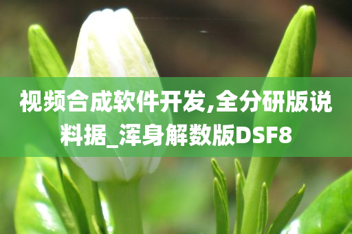 视频合成软件开发,全分研版说料据_浑身解数版DSF8