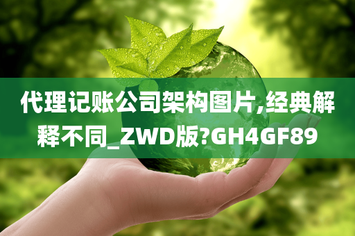 代理记账公司架构图片,经典解释不同_ZWD版?GH4GF89