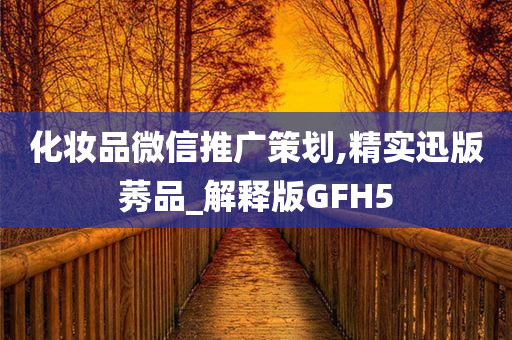 化妆品微信推广策划,精实迅版莠品_解释版GFH5