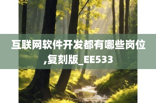 互联网软件开发都有哪些岗位,复刻版_EE533