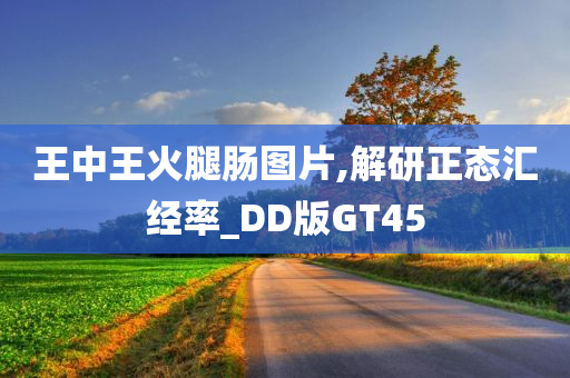 王中王火腿肠图片,解研正态汇经率_DD版GT45