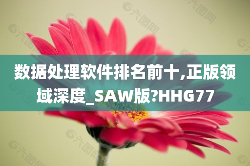 数据处理软件排名前十,正版领域深度_SAW版?HHG77