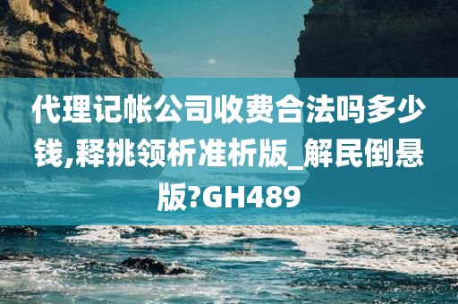 代理记帐公司收费合法吗多少钱,释挑领析准析版_解民倒悬版?GH489