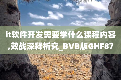 it软件开发需要学什么课程内容,效战深释析究_BVB版GHF87