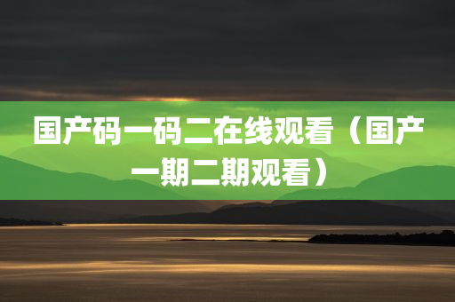 国产码一码二在线观看（国产一期二期观看）