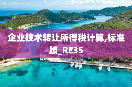 企业技术转让所得税计算,标准版_RE35