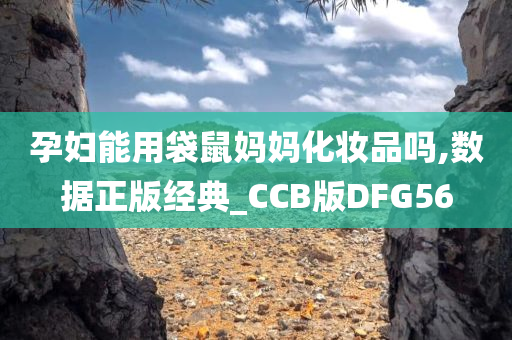 孕妇能用袋鼠妈妈化妆品吗,数据正版经典_CCB版DFG56