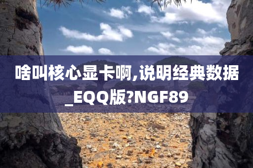 啥叫核心显卡啊,说明经典数据_EQQ版?NGF89