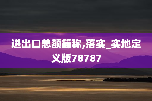 进出口总额简称,落实_实地定义版78787