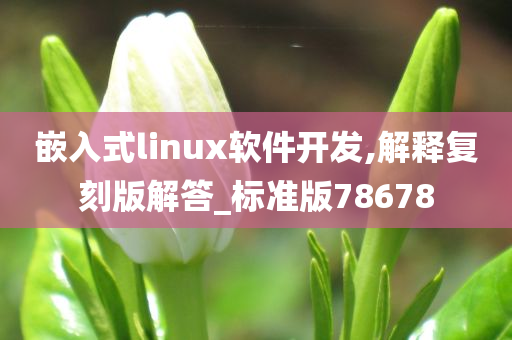 嵌入式linux软件开发,解释复刻版解答_标准版78678