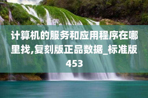 计算机的服务和应用程序在哪里找,复刻版正品数据_标准版453